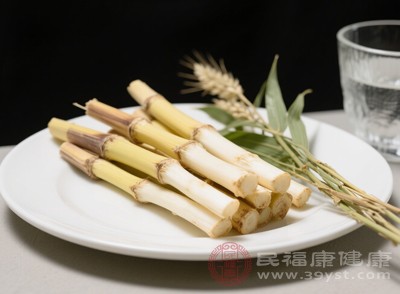 無論是因感冒引起的咳嗽，還是慢性咽炎導(dǎo)致的咽干、咳嗽，蘆葦根都能發(fā)揮一定的作用