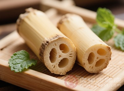 蘆葦根還具有一定的抗炎作用，能夠減輕腸胃炎癥，保護(hù)腸胃黏膜