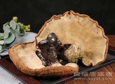 靈芝對心血管系統(tǒng)具有良好的調(diào)節(jié)作用