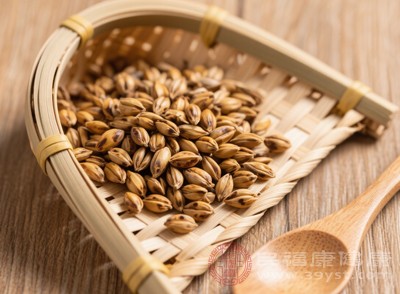 炒麥芽只能起到輔助調(diào)節(jié)血糖的作用，不能替代正規(guī)的藥物治療