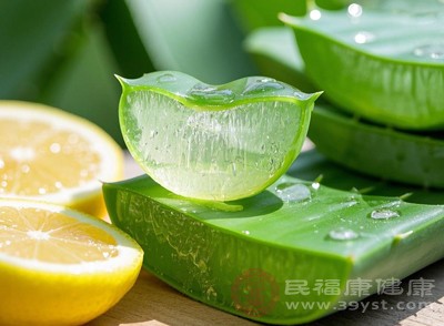 將蘆薈葉片切開，觀察流出的汁液也能幫助我們判斷其是否可食用