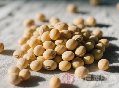經(jīng)常食用黃豆，能讓腸道保持健康活力，讓身體的“下水道”暢通無阻