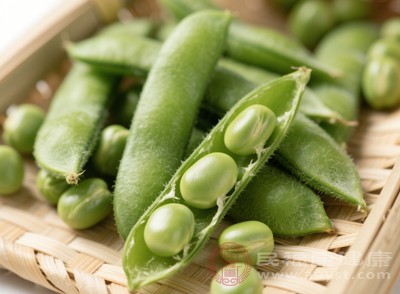 青豆是未成熟的大豆，顏色翠綠，富含維生素C、維生素K以及鉀、鎂等礦物質(zhì)