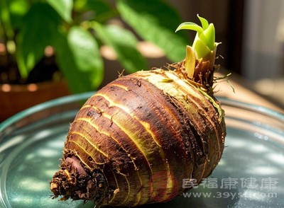 從生物學(xué)角度來(lái)看，芋頭發(fā)芽是其生命延續(xù)的一種方式