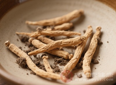太子參溫和補氣健脾的特性，非常適合兒童服用