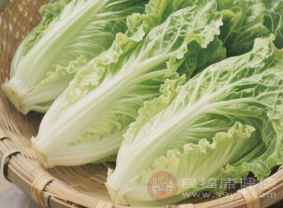 菠菜、生菜、油麥菜等綠葉蔬菜堪稱“排毒主力軍”