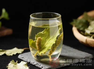 由于每個(gè)人的過(guò)敏反應(yīng)和過(guò)敏原都有所不同，所以過(guò)敏體質(zhì)的人在飲用桑樹(shù)葉泡水前，很難預(yù)判自己是否會(huì)過(guò)敏