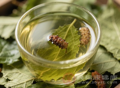 桑樹(shù)葉泡水的制作方法和保存方式也會(huì)影響其安全性