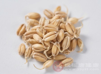 小麥胚芽中的蛋白質(zhì)是構(gòu)成抗體的重要物質(zhì)，抗體能夠識(shí)別和結(jié)合外來病原體，幫助身體抵御病毒、細(xì)菌等的侵襲