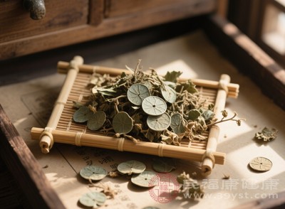 除了治療黃疸，金錢草還能廣泛用于改善各種濕熱病癥