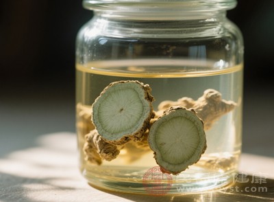 在傷口處理方面，將三七泡酒外用，輕輕涂抹于受傷部位，能夠加速傷口的愈合