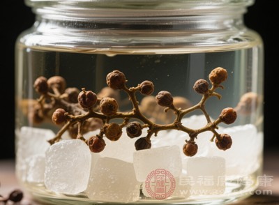 拐棗泡酒中的抗氧化成分可以保護(hù)細(xì)胞的完整性，延緩細(xì)胞衰老的進(jìn)程