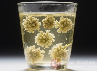 低血壓人群禁止飲用三七花，以免導(dǎo)致血壓過(guò)低，引發(fā)嚴(yán)重的健康問(wèn)題