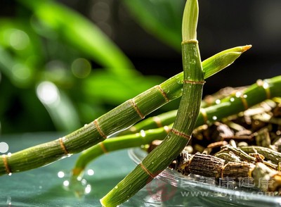 鮮石斛的神仙吃法大公開 解鎖天然養(yǎng)生新體驗(yàn)