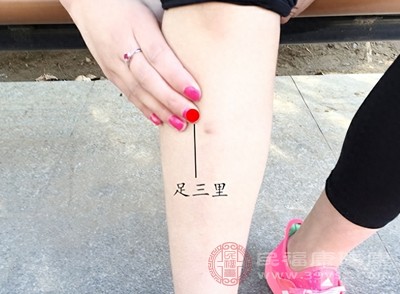 足三里穴位于小腿外側，膝蓋骨下方凹陷處往下約四指寬（三橫指）的位置