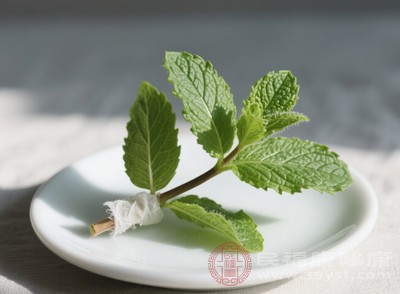 可以聞一聞薄荷葉，或者使用薄荷精油，將少量薄荷精油滴在紙巾上，放在鼻前輕輕嗅聞