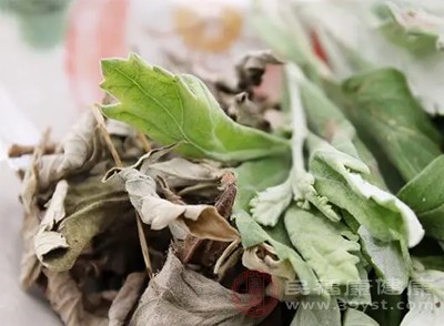 艾葉中的揮發(fā)油對金黃色葡萄球菌、大腸桿菌等有抑制作用