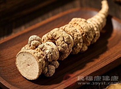 優(yōu)質(zhì)的三七個頭飽滿、質(zhì)地堅硬、斷面灰綠色或灰褐色