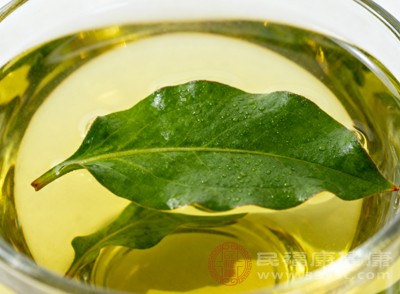 車前草性寒，過(guò)量飲用可能會(huì)導(dǎo)致脾胃虛寒，出現(xiàn)腹痛、腹瀉等癥狀