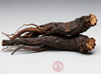 玄參具有一定的心血管保護作用，其提取物能夠擴張血管，降低血壓，對心血管系統(tǒng)起到調(diào)節(jié)作用