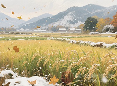 东北、西北部分区域已接近冬季，甚至出现初雪