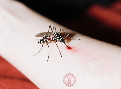 蚊子需吸食血液才能促進(jìn)卵的成熟，秋季是蚊蟲繁殖的最后高峰期，雌蚊為了順利產(chǎn)卵，會(huì)更主動(dòng)、頻繁地叮咬人類，吸血量也可能更大，增加了病原體傳播的機(jī)會(huì)