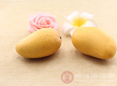 芒果中含有的膳食纤维和果胶 芒果中含有的膳食纤维和果胶