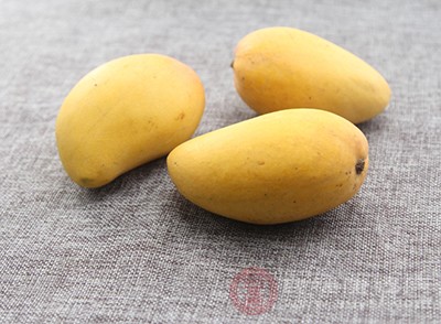 经常食用芒果,有助于身体保持良好的免疫状态 经常食用芒果,有助于身体保持良好的免疫状态