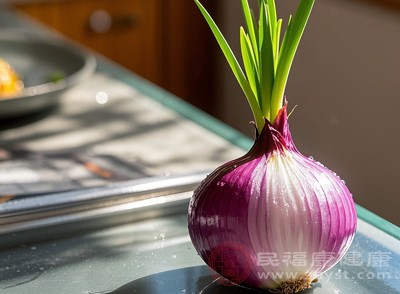 如果决定食用发芽洋葱,在烹饪前需要进行适当处理 如果决定食用发芽洋葱,在烹饪前需要进行适当处理