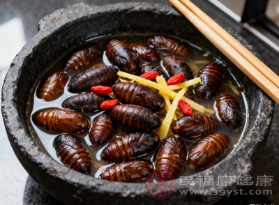 蠶蛹的膽固醇含量相對較高，每100克蠶蛹中膽固醇含量約為155毫克