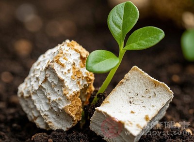 土茯苓味甘、淡，性平，歸肝、胃經(jīng)，具有解毒、除濕、通利關(guān)節(jié)的功效