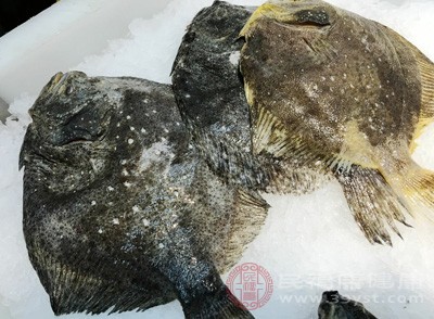 鱼鳃是判断鱼新鲜程度的重要部位 鱼鳃是判断鱼新鲜程度的重要部位