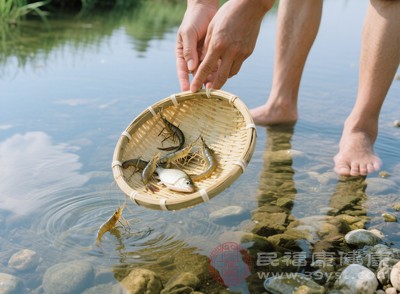 新鲜的鱼身体有弹性,用手指按压鱼肉,凹陷处会迅速恢复 新鲜的鱼身体有弹性,用手指按压鱼肉,凹陷处会迅速恢复