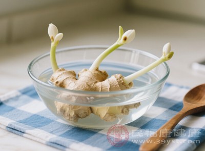 生姜性温，具有温中散寒、和胃止呕的功效