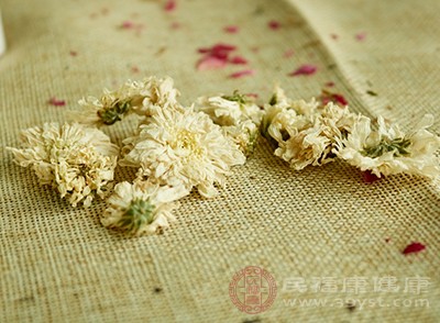 菊花味甘苦，性微寒，歸肺、肝經(jīng)
