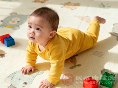 爬行能够全面锻炼宝宝的四肢、腹部、背部等部位的肌肉 爬行能够全面锻炼宝宝的四肢、腹部、背部等部位的肌肉