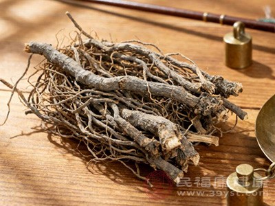 细辛功效大起底 从散寒止痛到通窍醒神，一文读懂它的多重作用