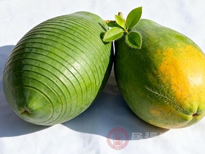 选用尚未完全成熟、质地较硬的青木瓜 选用尚未完全成熟、质地较硬的青木瓜