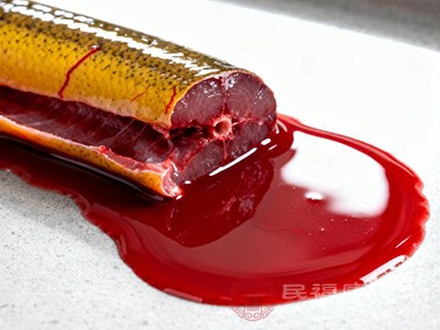 每個人的體質(zhì)不同，對黃鱔血的反應(yīng)也存在差異