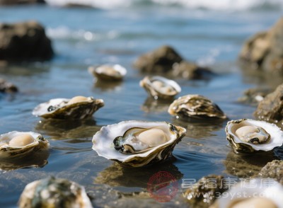 生蚝生长在海洋环境中，容易受到污染