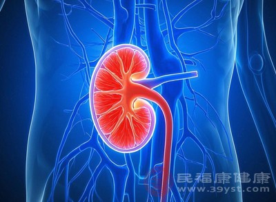 秋天腎最“脆弱”！4件事悄悄耗腎氣，第2件很多人還在做
