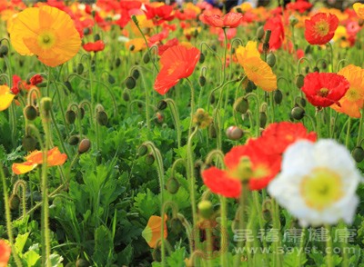 秋季嗓子不適總不好？跳出“干燥”誤區(qū)，這些原因你可能沒(méi)注意