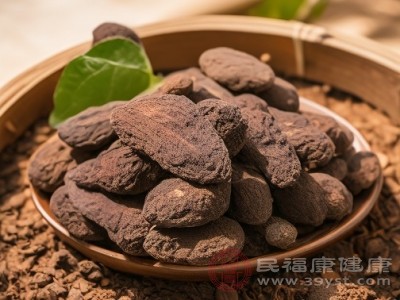 地黄的功效有哪些 现在知道还不晚