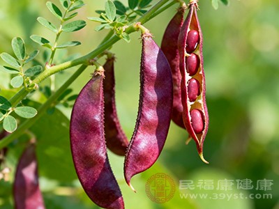 红扁豆中含有的维生素C、维生素B族以及多种抗氧化物质