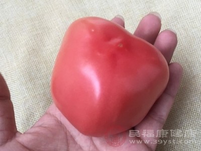 夜食西红柿 究竟是热量刺客还是瘦身神器