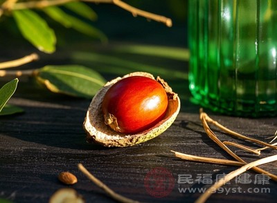 防止酸枣仁粉受潮变质