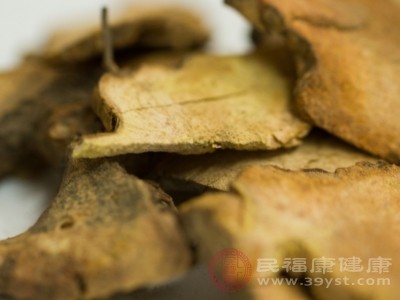 土茯苓 藏在山野間的寶藏藥材 土茯苓 藏在山野間的寶藏藥材