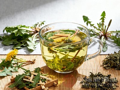 蒲公英同样有清热解毒的功效,与车前草搭配,能增强清热泻火、利尿通淋的作用 蒲公英同样有清热解毒的功效,与车前草搭配,能增强清热泻火、利尿通淋的作用