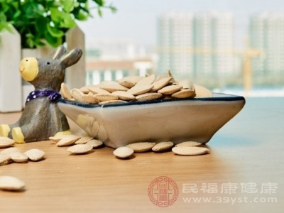 南瓜子中的膳食纤维还是肠道有益菌的“食物”