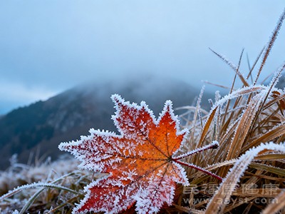 霜降是幾月幾號 霜降日期藏規(guī)律看完就明白